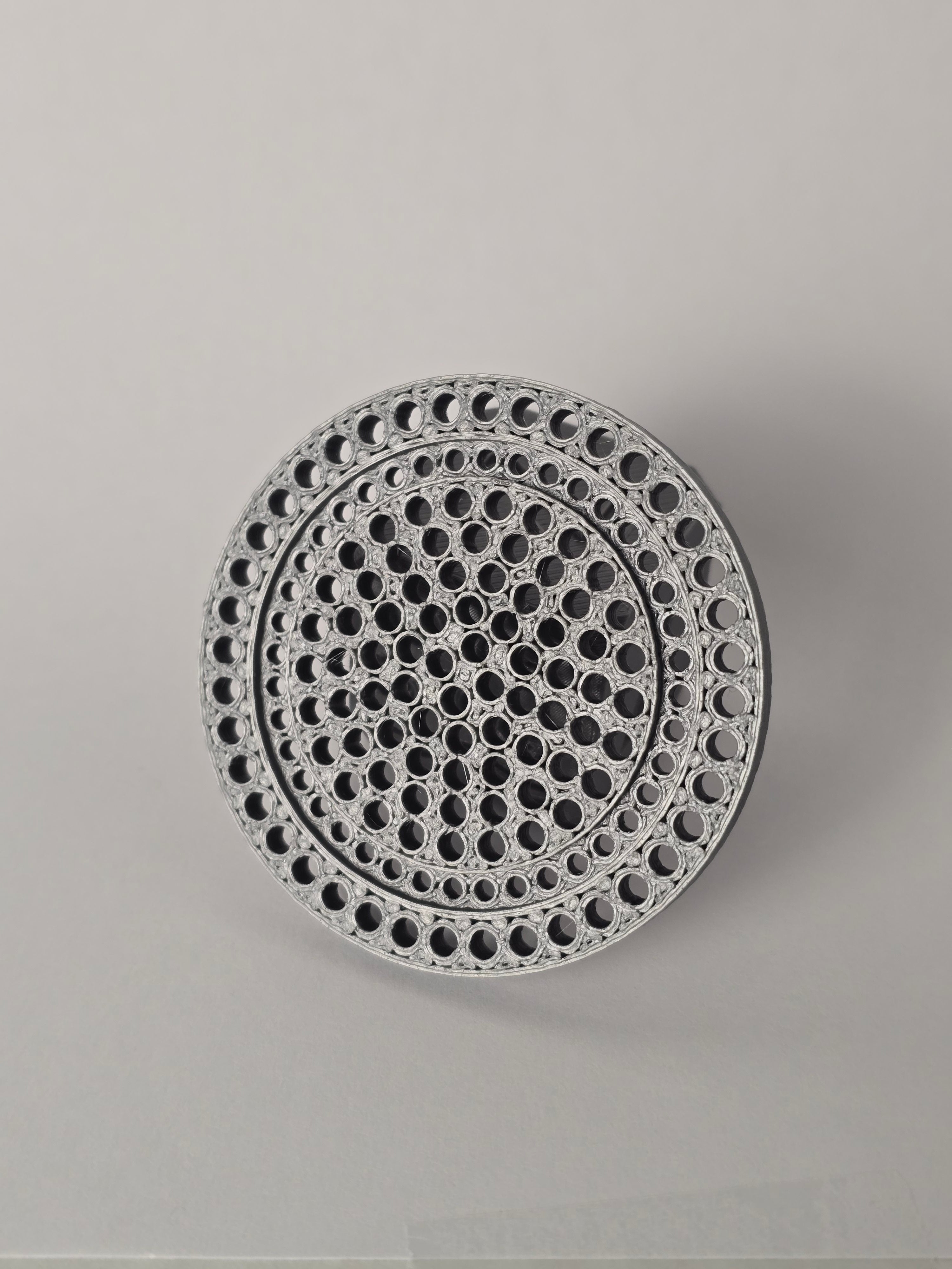 Seive Tube Plate (2 pcs)